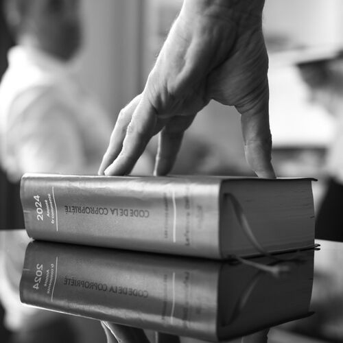 Rossi-Landi avocat Cabinet Rossi-Landi Avocats - Droit immobilier